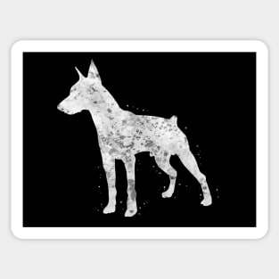 Doberman dog Sticker